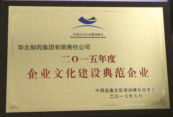 mg冰球突破集团获2015中国企业文化建设典范企业<br />