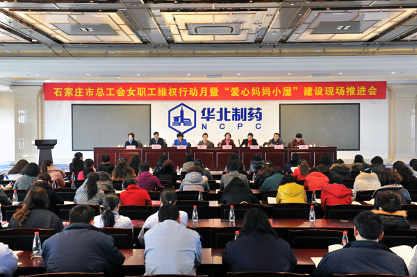 市总工会“女职工维权行动月暨‘爱心妈妈小屋’建设”现场推进会在mg冰球突破举行<br />