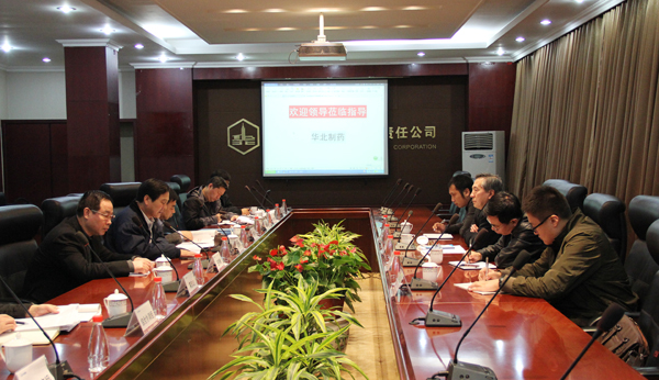 省国资委领导曹新兴到冰球突破-冰球突破豪华版_mg冰球游戏制药调研<br />