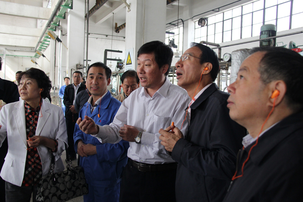 全国“安康杯”检查组到冰球突破-冰球突破豪华版_mg冰球游戏制药检查指导工作