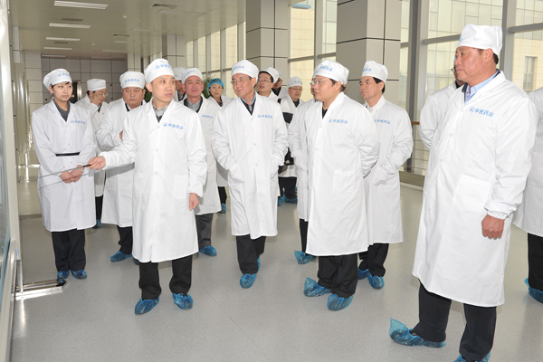 山西省商务厅厅长孙跃进一行参观冰球突破-冰球突破豪华版_mg冰球游戏制药华民公司