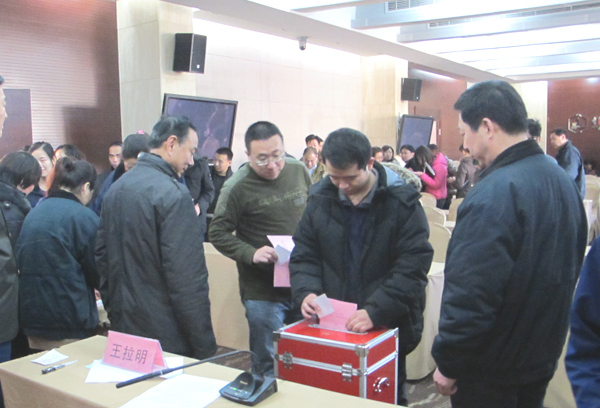 冰球突破-冰球突破豪华版_mg冰球游戏制药集中组织长安区人大换届选举投票工作