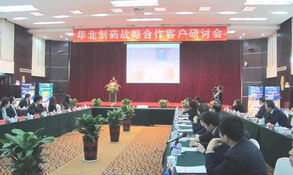 冰球突破-冰球突破豪华版_mg冰球游戏制药举行战略客户研讨会