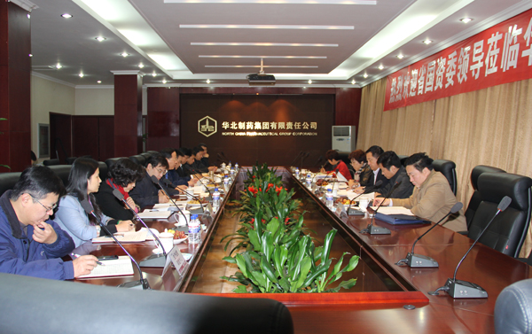 省国资委副主任毛丽君到冰球突破-冰球突破豪华版_mg冰球游戏制药调研指导<br />