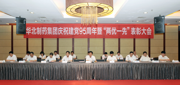 mg冰球突破集团召开庆祝建党95周年暨“两优一先”表彰大会