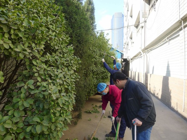 mg冰球突破共青团系统集中开展“3·5”学雷锋周志愿服务活动