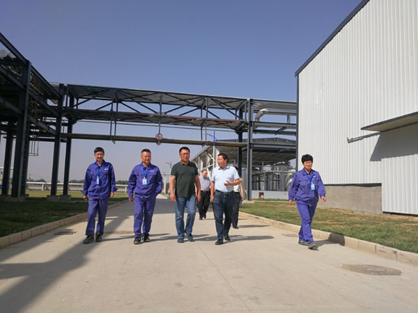 省国资委、冀中能源集团领导来华恒调研